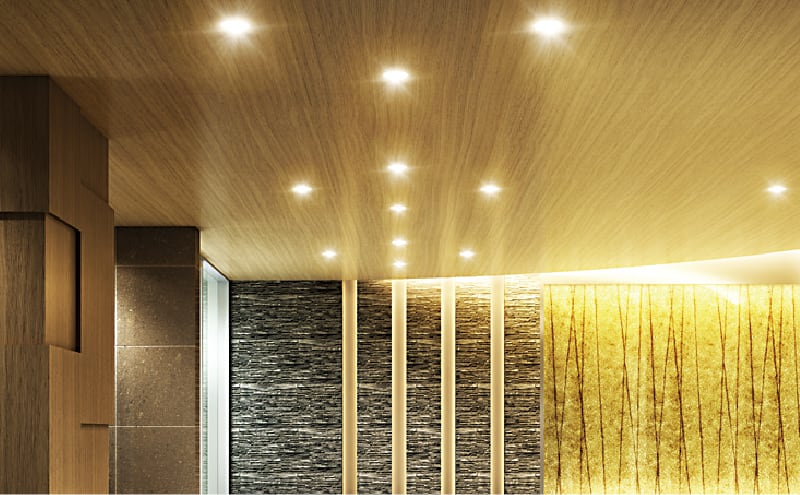 共用部高効率照明 （LEDダウンライト）