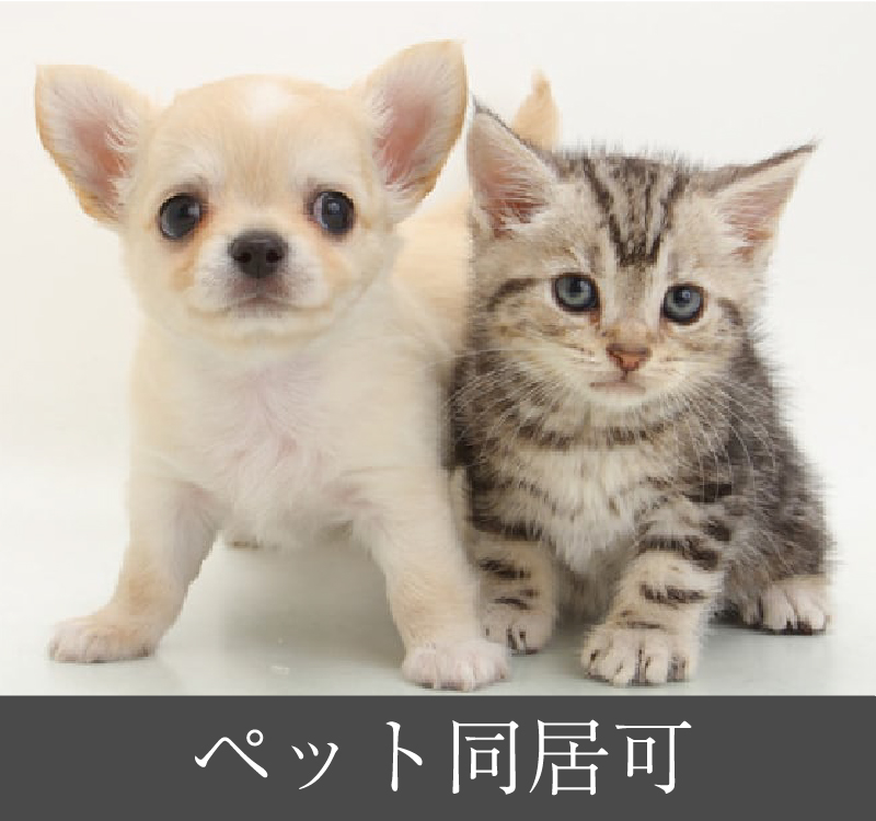 ペット同居可