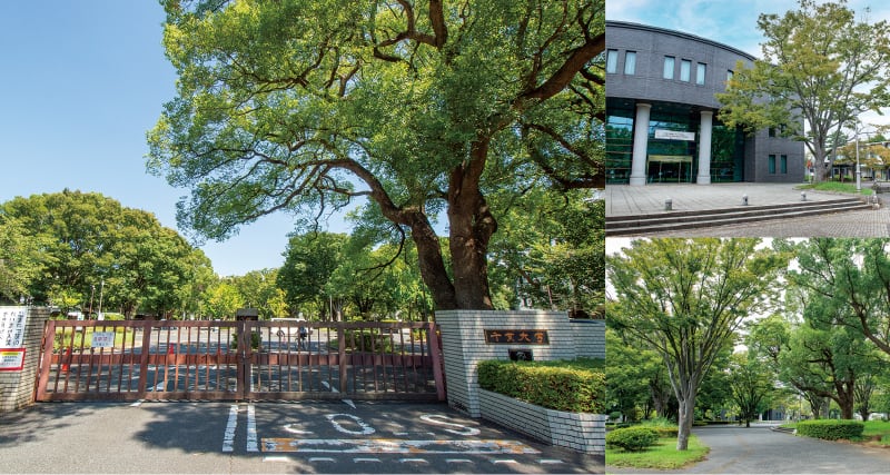 千葉大学西千葉キャンパス